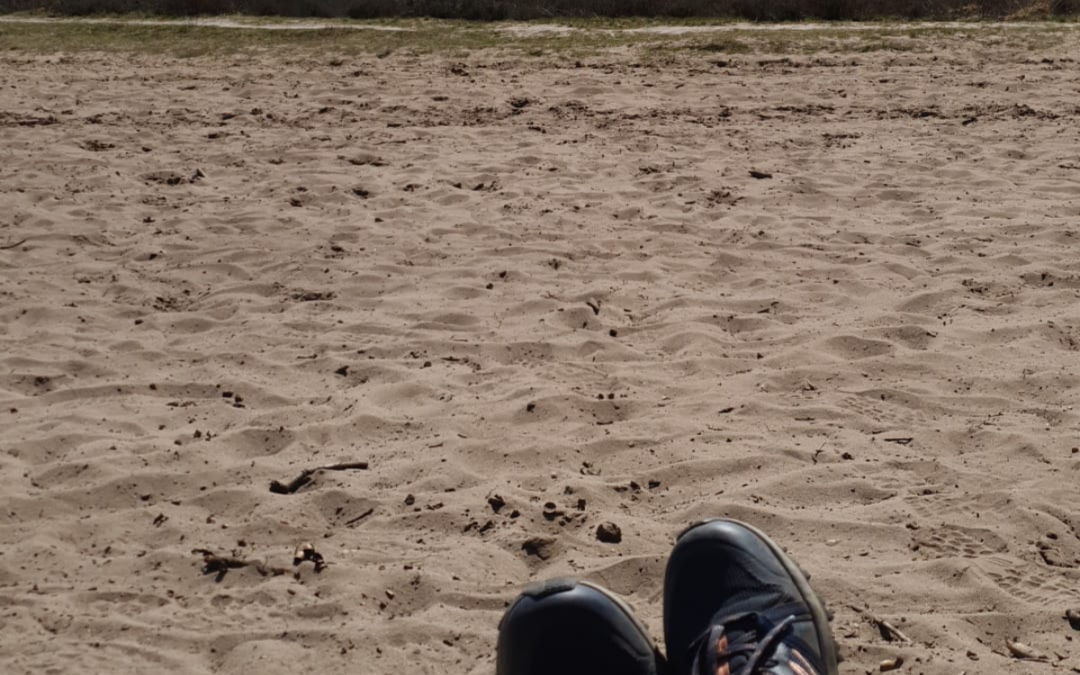 Versnellen of vertragen?